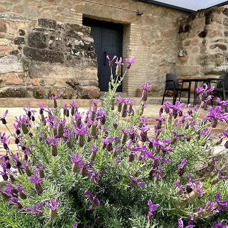 Apartmán La Bodega *